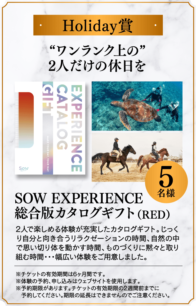 ＜Holiday賞＞“ワンランク上の”2人だけの休日を SOW EXPERIENCE総合版カタログギフト（RED） 5名様