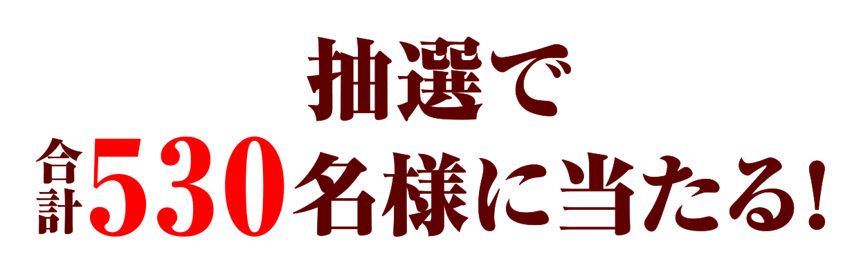 抽選で合計530名様に当たる！