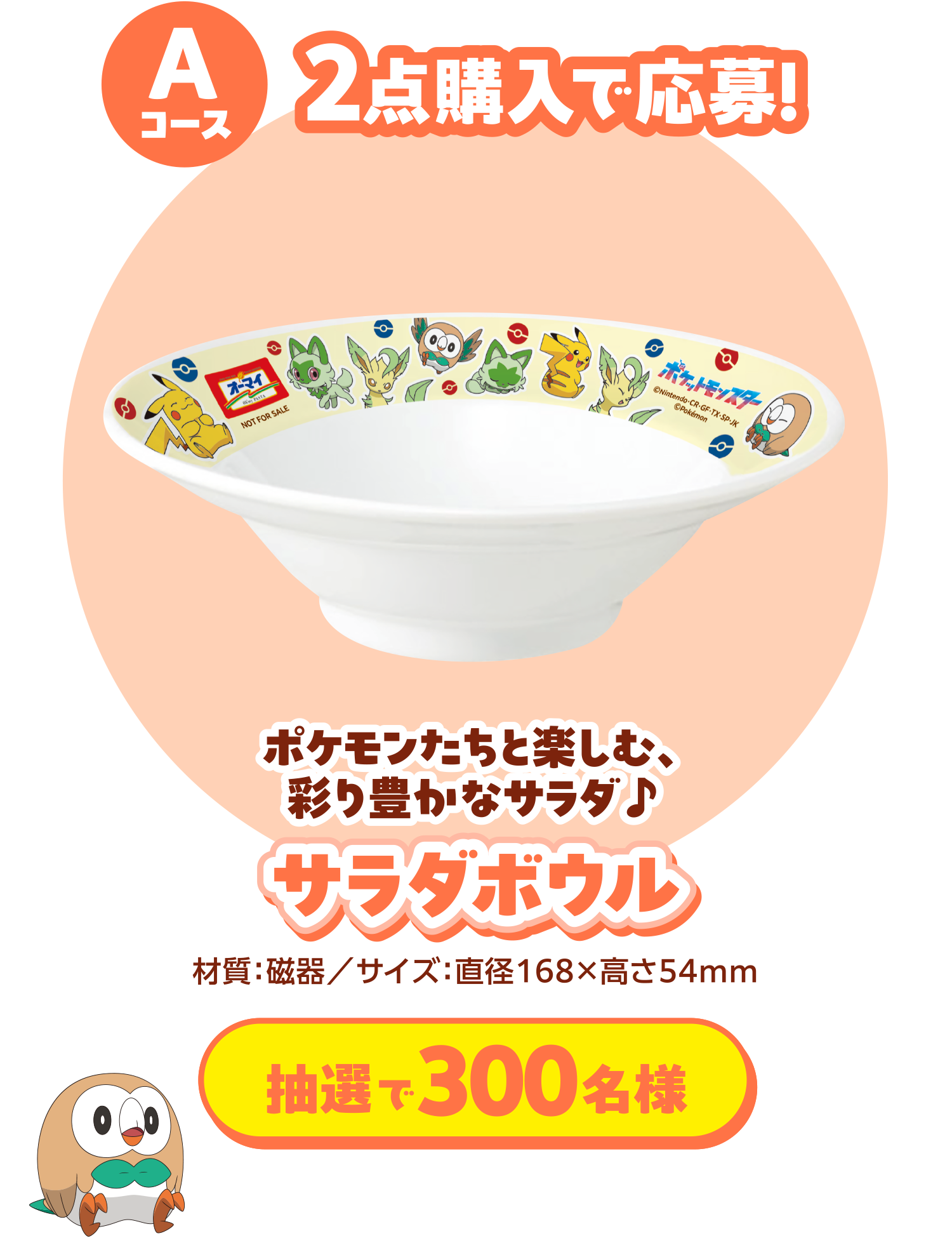 Aコース 2点購入で応募！ ポケモンたちと楽しむ、彩り豊かなサラダ♪サラダボウル 抽選で300名様