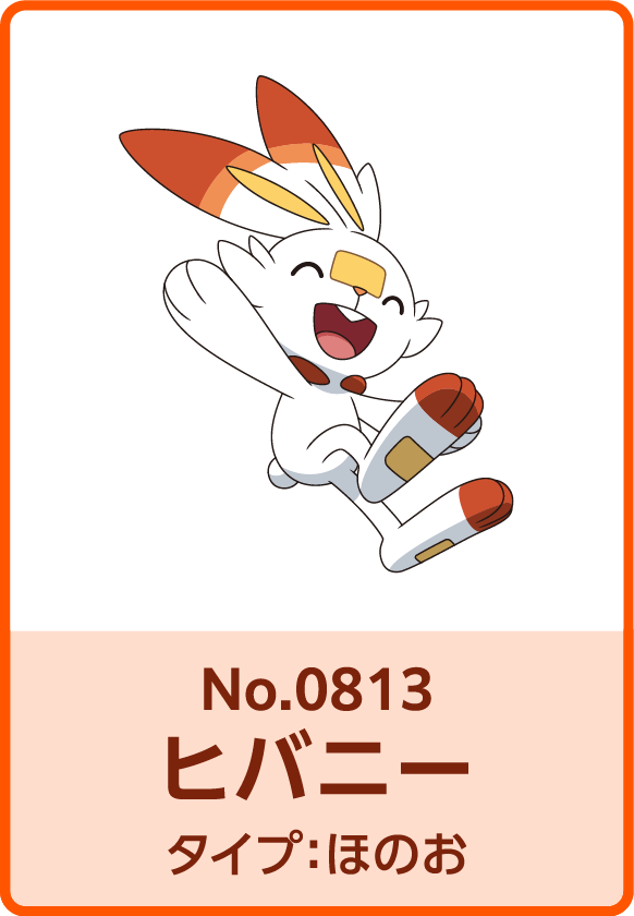 No.0813 ヒバニー タイプ：ほのお