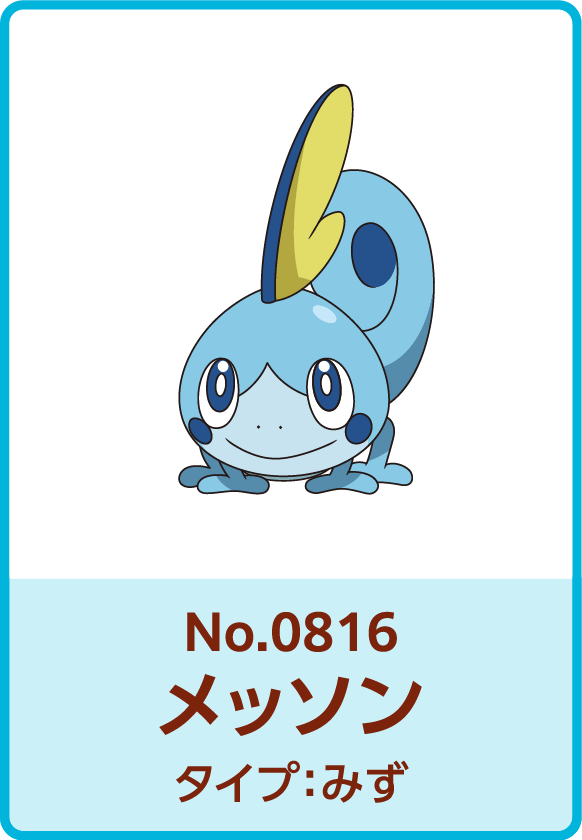 No.0816 メッソン タイプ：みず