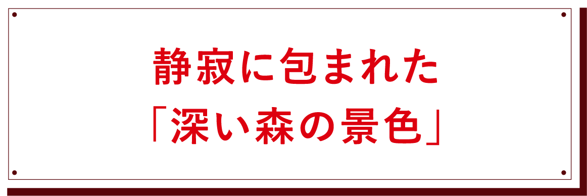静寂に包まれた「深い森の景色」