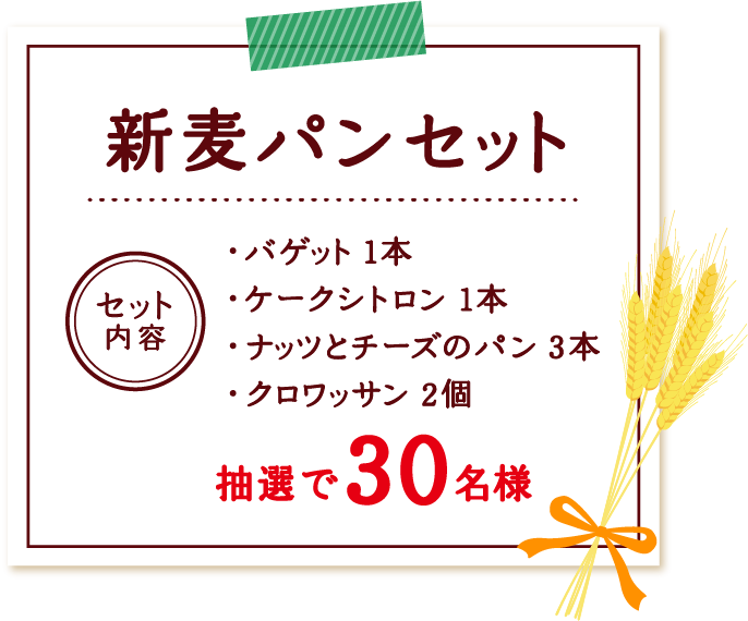 新麦パンセット＜セット内容＞ バゲット 1本・ケークシトロン 1本・ナッツとチーズのパン 3本・クロワッサン 2個、抽選で30名様