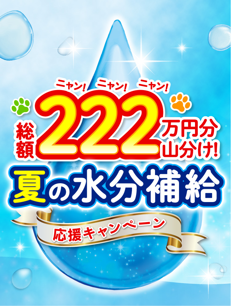 総額222万円分山分け！夏の水分補給応援キャンペーン ※イラストはイメージです。(R)登録商標