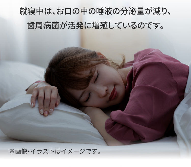 就寝中は、お口の中の唾液の分泌量が減り、歯周病菌が活発に増殖しているのです。※画像・イラストはイメージです。