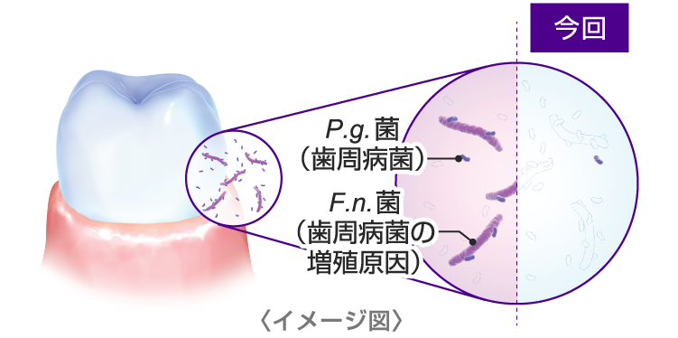 今回のイメージ図