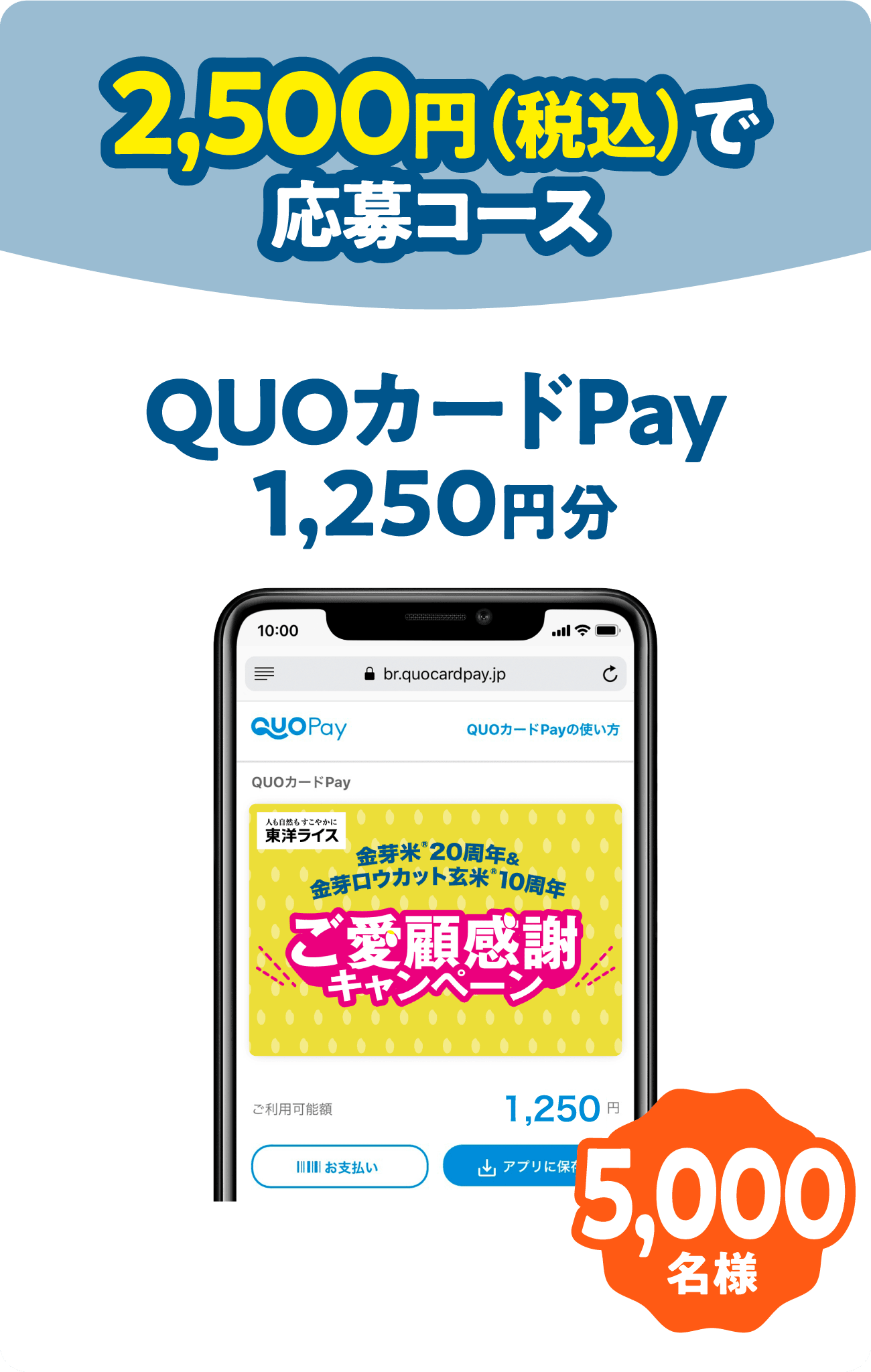 2,500円（税込）で応募コース QUOカードPay1,250円分＜5,000名様＞