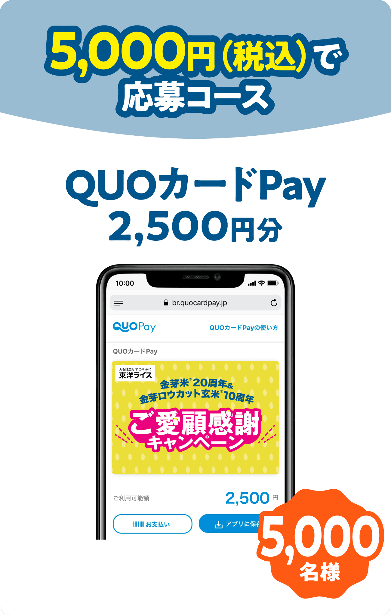 5,000円（税込）で応募コース QUOカードPay2,500円分＜5,000名様＞