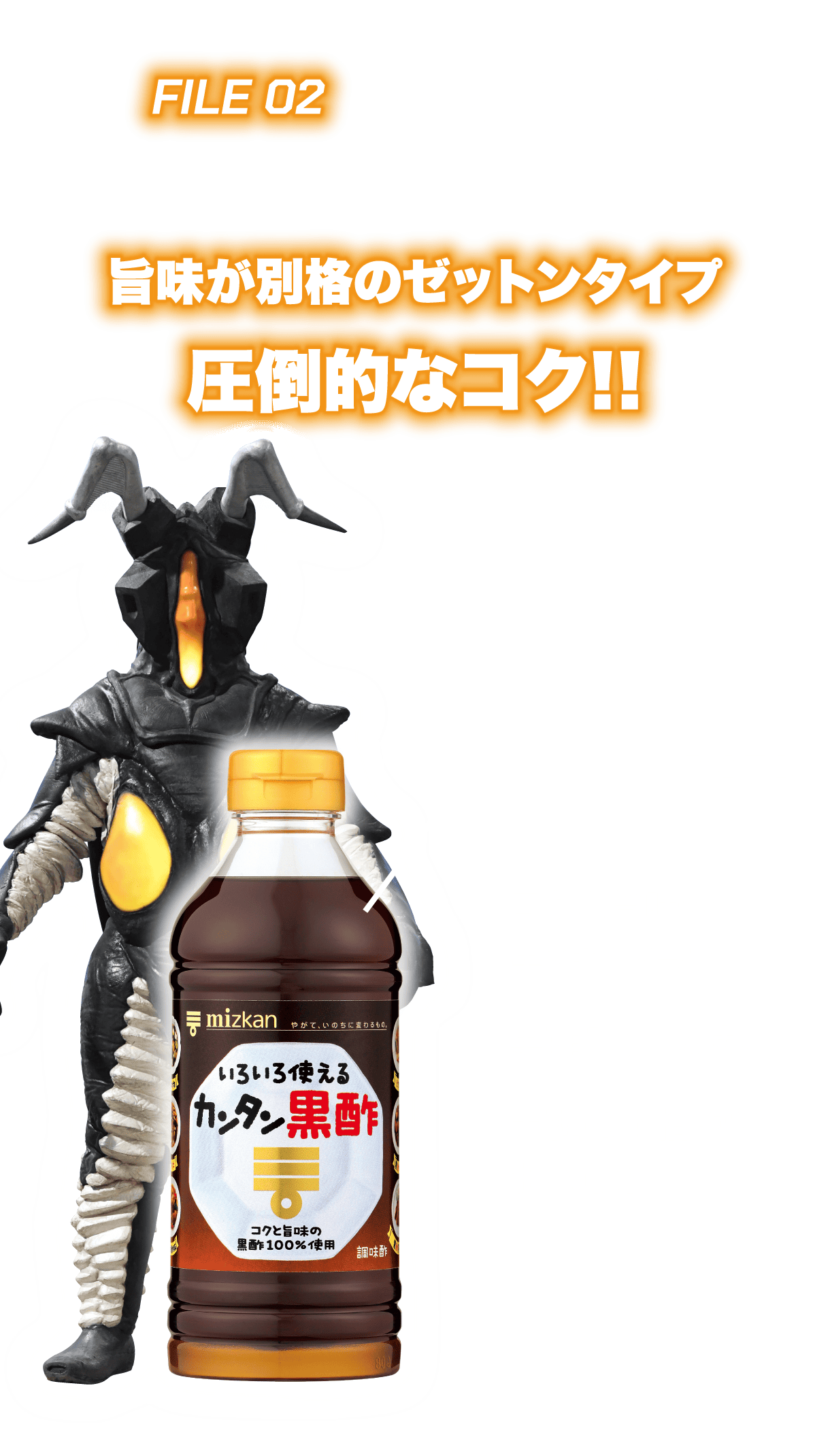 FILE 02 旨味が別格のゼットンタイプ圧倒的なコク!!
          ・コクと旨味が黒酢でプラス
          ・黒酢100%使用
          ・手軽に本格的なおいしさ
