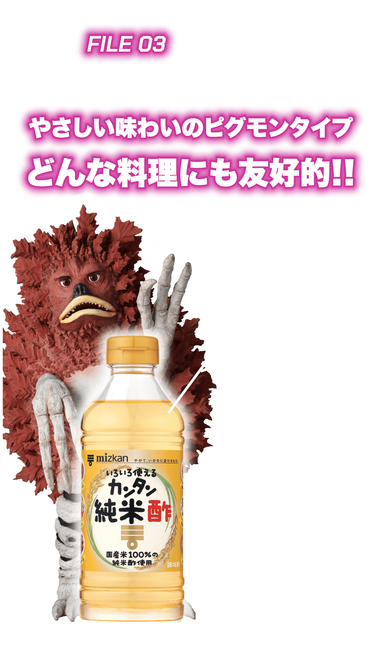 FILE 03 やさしい味わいのピグモンタイプどんな料理にも友好的!!
          ・まろやかな酸味と程よい甘さ
          ・国産米100%の純米酢使用
          ・まじりけのないおいしさ