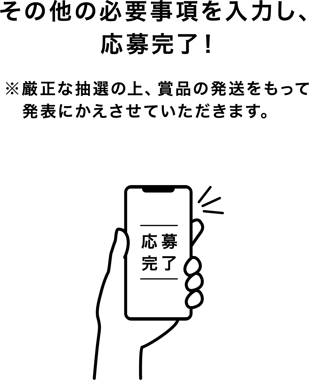 その他の必要事項を入力し、応募完了！ ※厳正な抽選の上、賞品の発送をもって発表にかえさせていただきます。